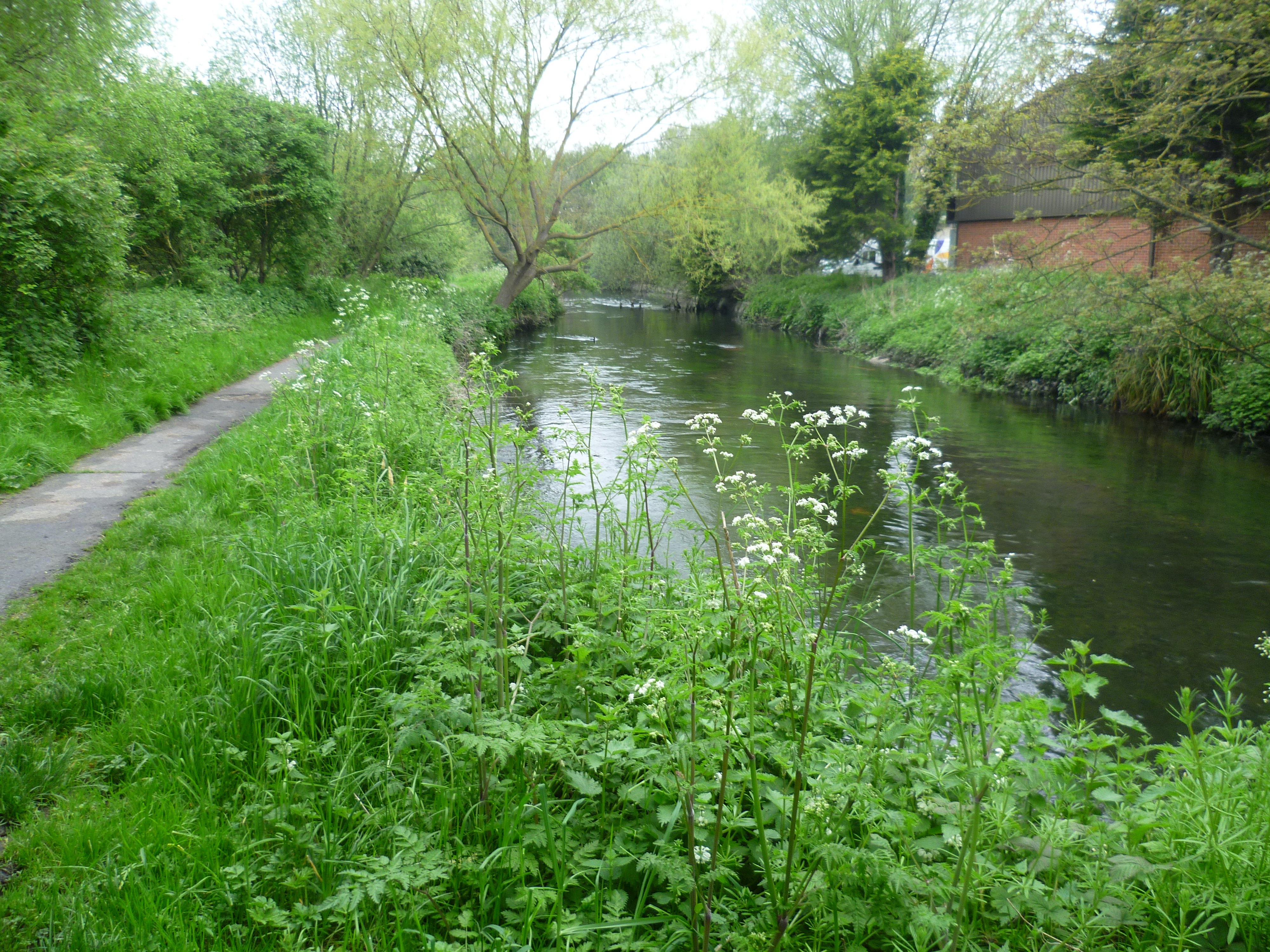 River Wandle near Poulter Park
