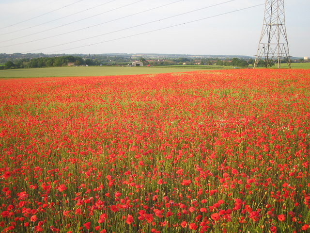 Between Steppingley and Flitwick from near John Bunyan trail
