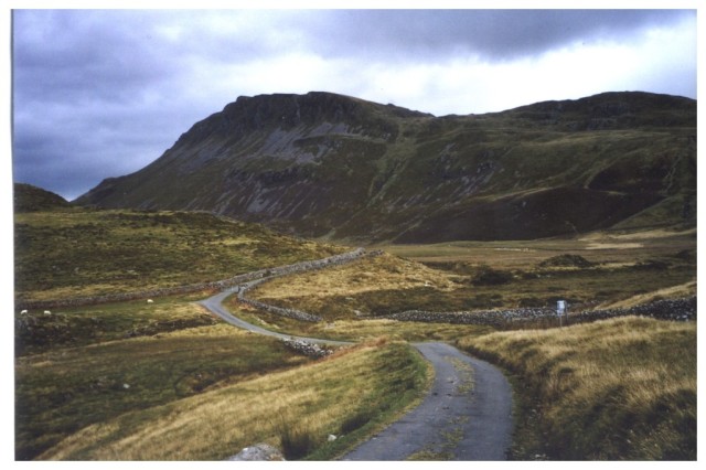 Road leading to Llynnau Cregennen