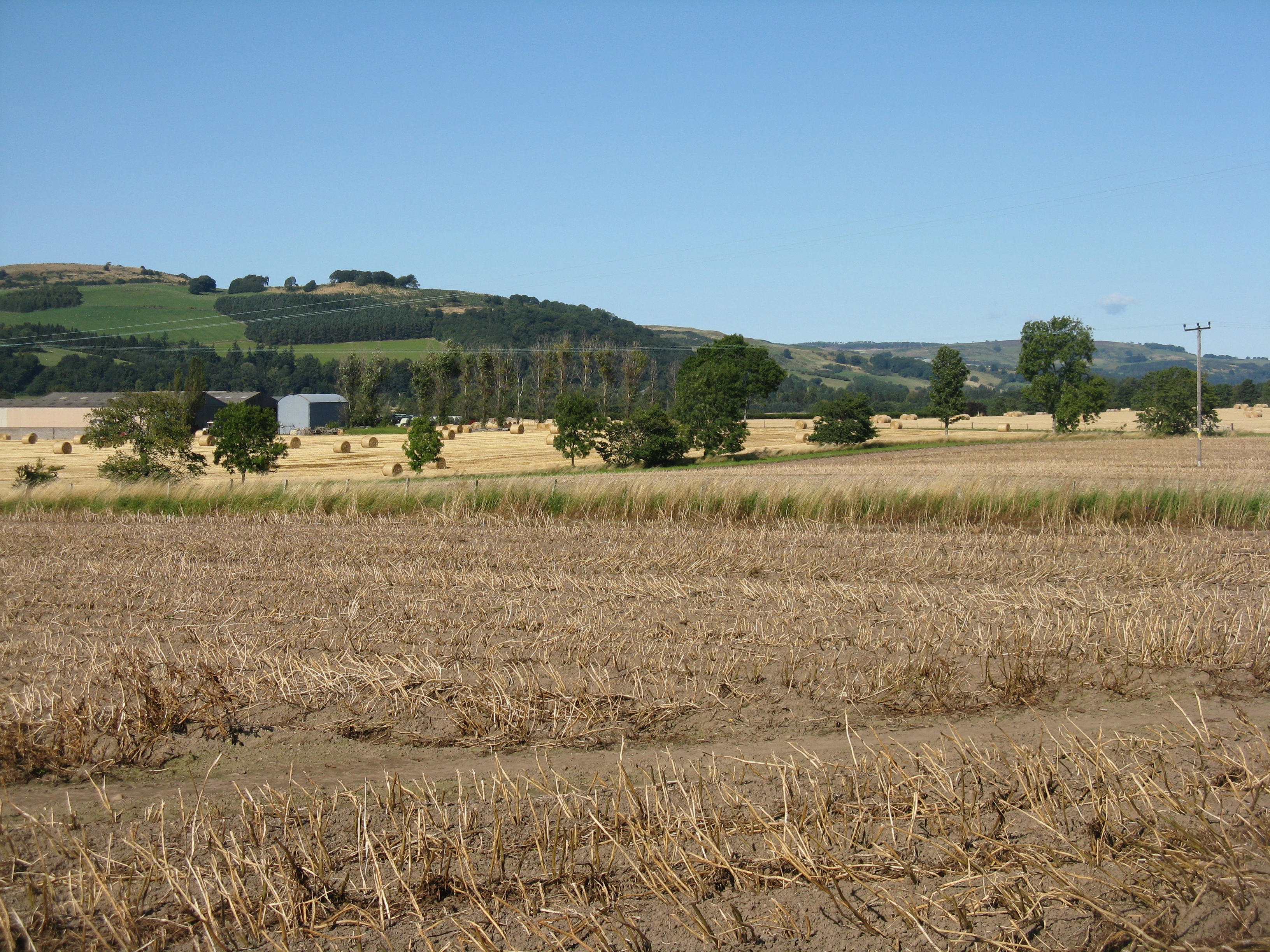 Farmland near St Madoes