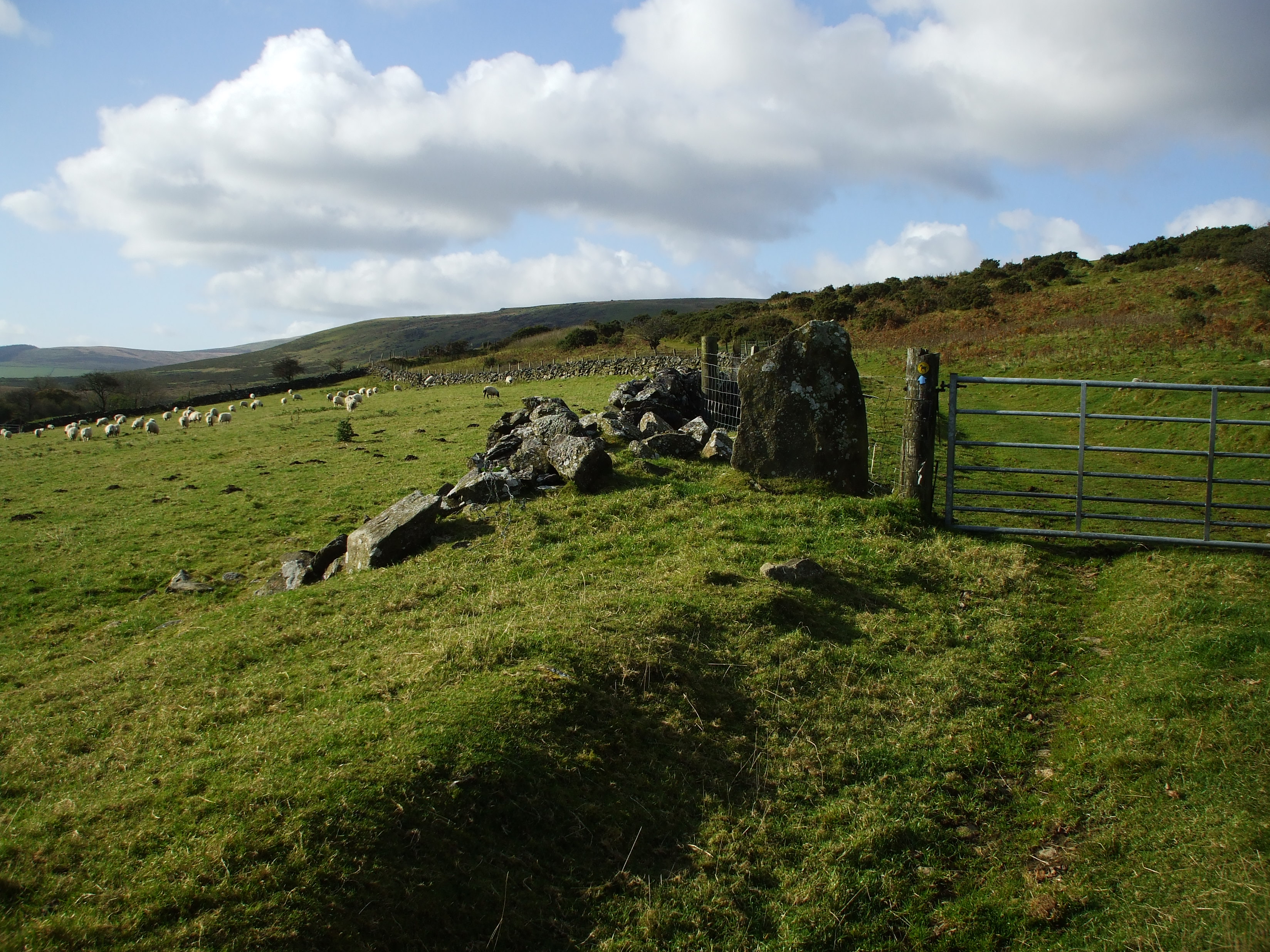 Bridleway near Caermeini Isaf